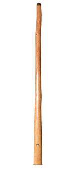 Tristan O'Meara Didgeridoo (TM510)